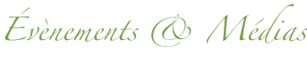 shapeimage_1_link_0